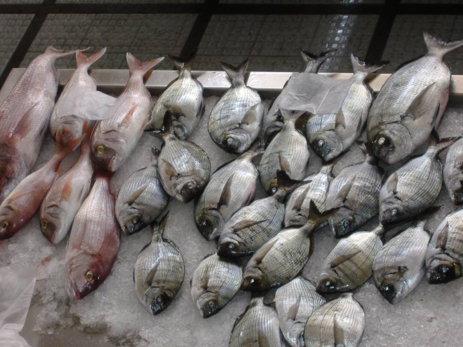 Fisch auf dem Freitagsmarkt in Funchal Fisch auf dem Freitagsmarkt in Funchal